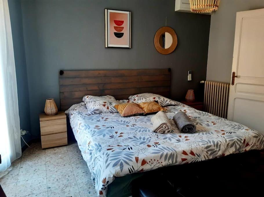 Charmante Maison De Ville Avec Jardin 페르피냥 외부 사진