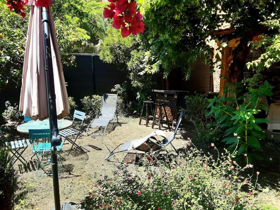 Charmante Maison De Ville Avec Jardin 페르피냥 외부 사진